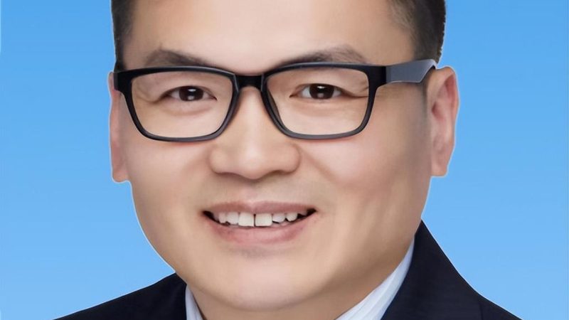 V继电器线圈电压规格：揭秘其背后的技术要点**
